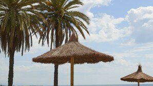 A beach with palm trees, thatched umbrellas, and sun loungers.