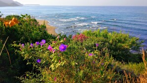 A coastal landscape with a beach, ocean, and wildflowers. - Villa Contessa (Zakynthos)