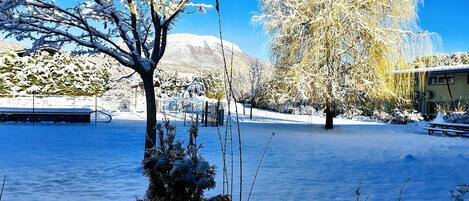 A snow-covered landscape with trees and a clear blue sky.