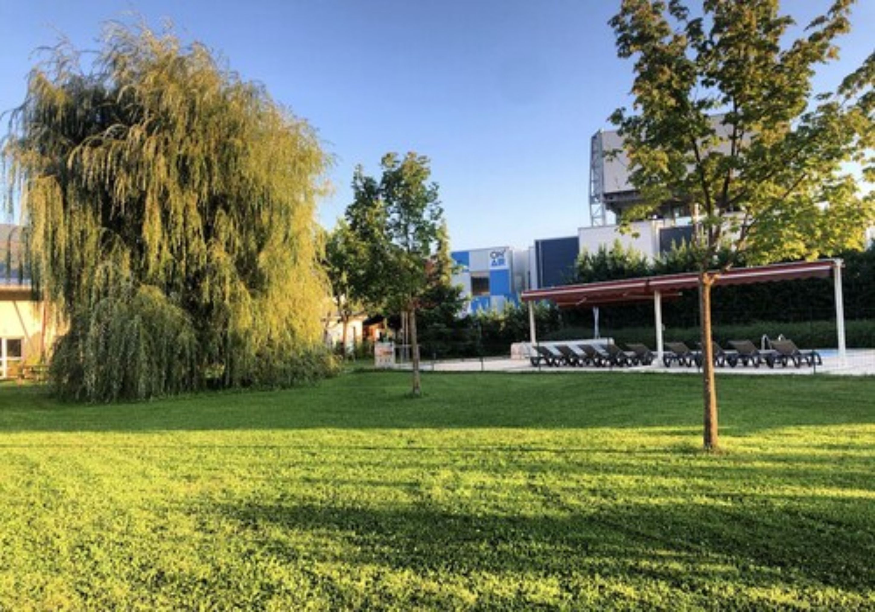 A grassy area with a large weeping willow tree, a covered seating area, and a building with a blue and white sign in the background.