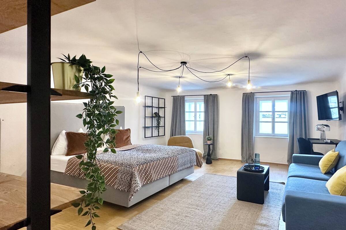 A modern bedroom with a bed, a sofa, a TV, and a plant.