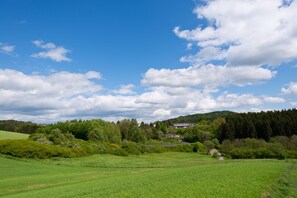 Esterni