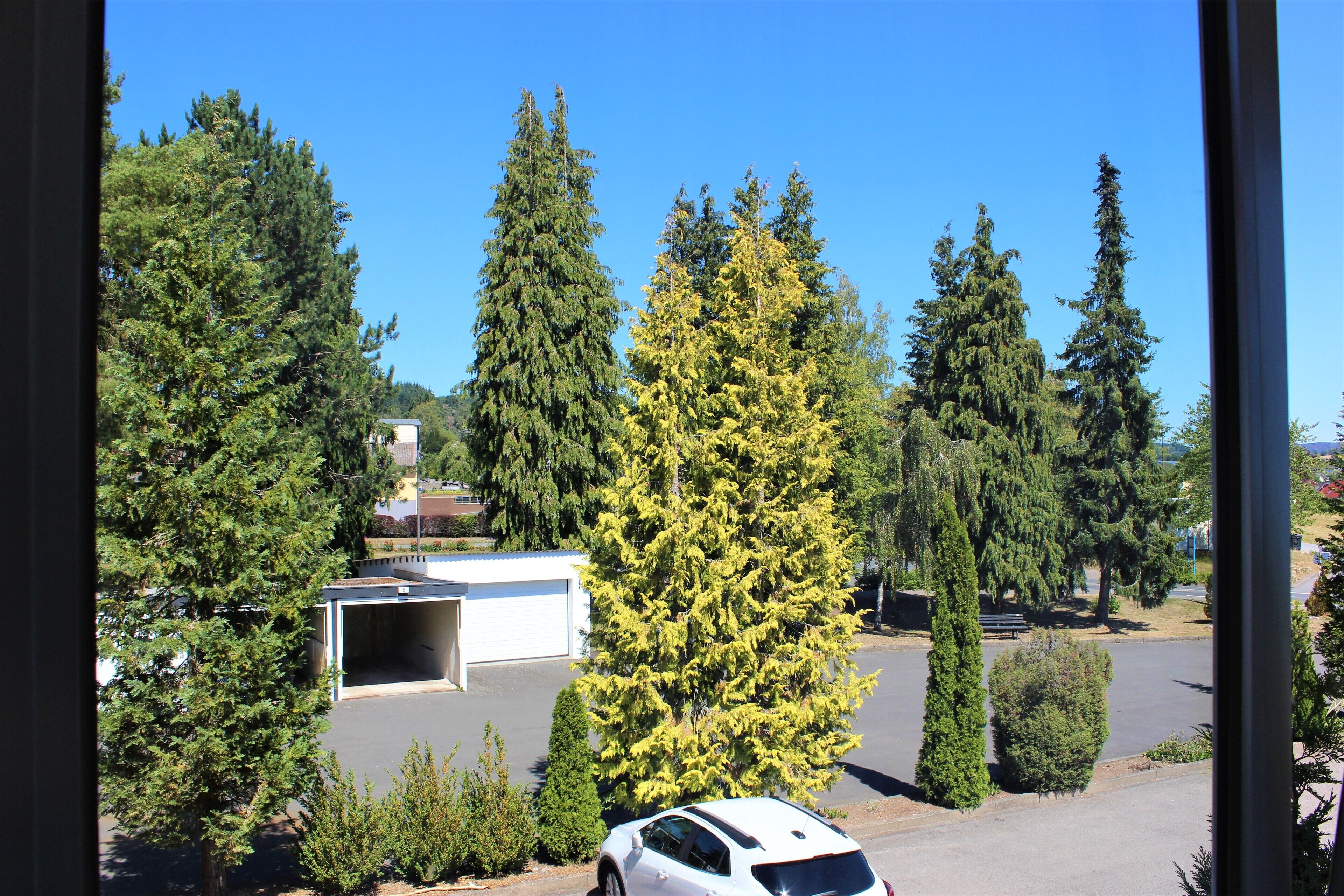 A parking lot with a white car, surrounded by tall evergreen trees and a building with a garage.