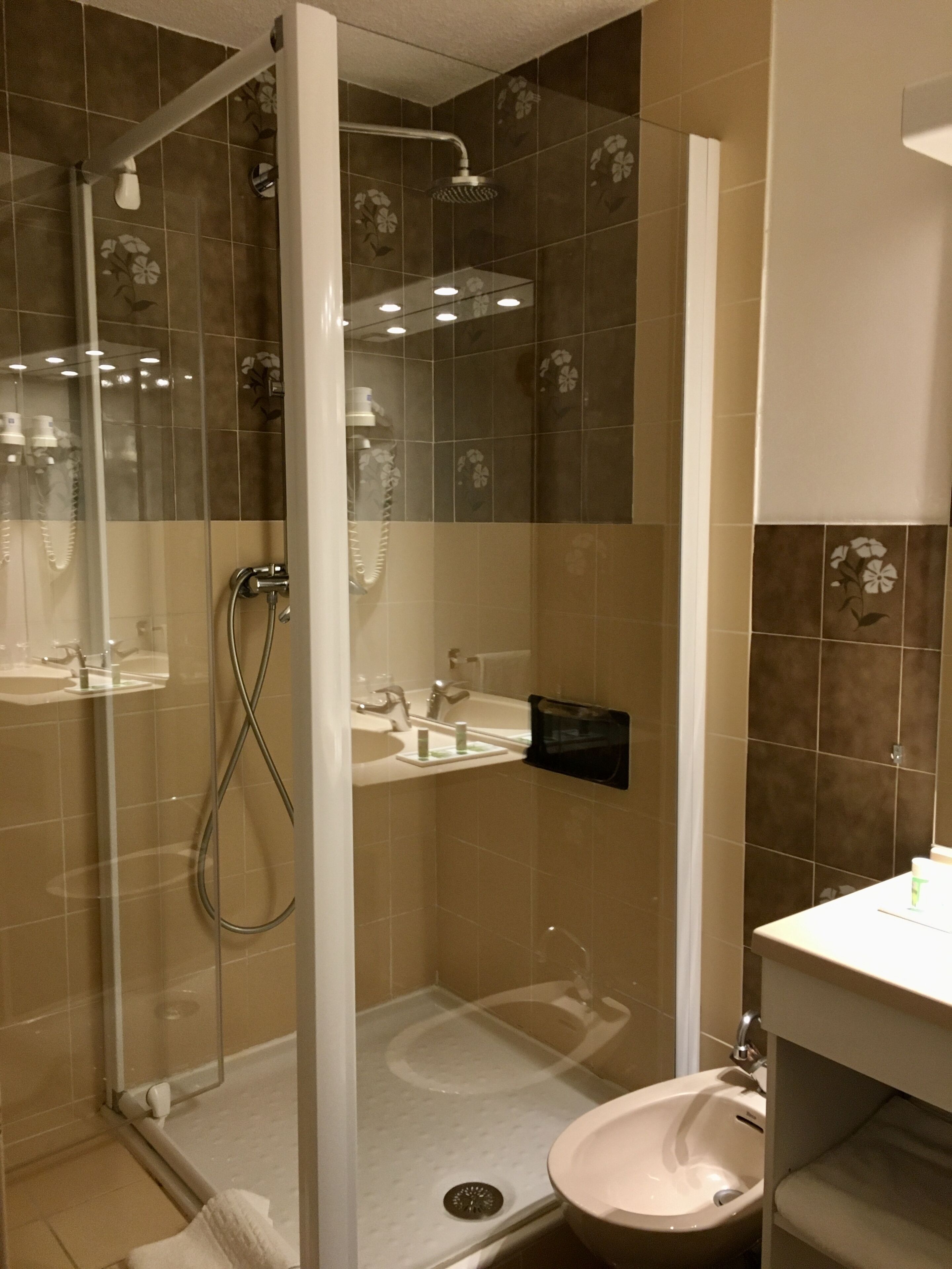 free toiletries, hair dryer, bidet, towels