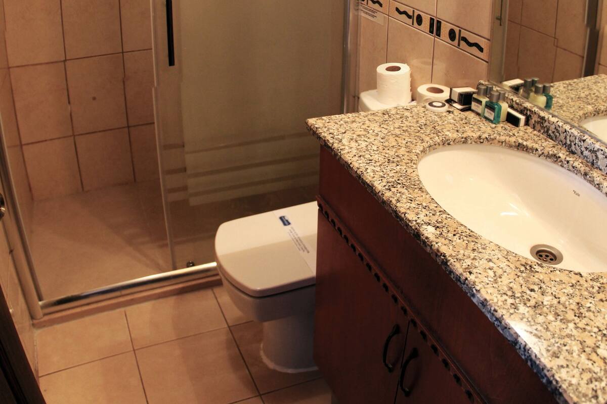 shower, free toiletries, hair dryer, slippers