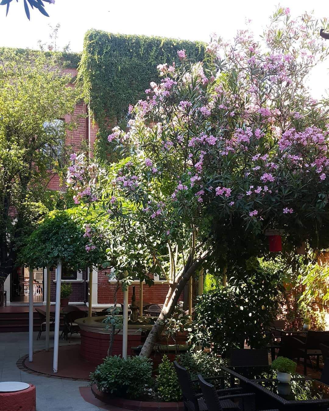 standard triple room | view from room