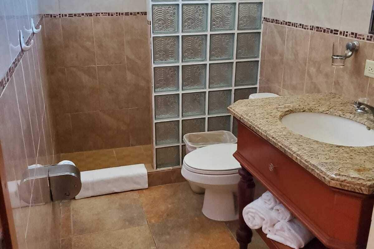 shower, free toiletries, hair dryer, towels