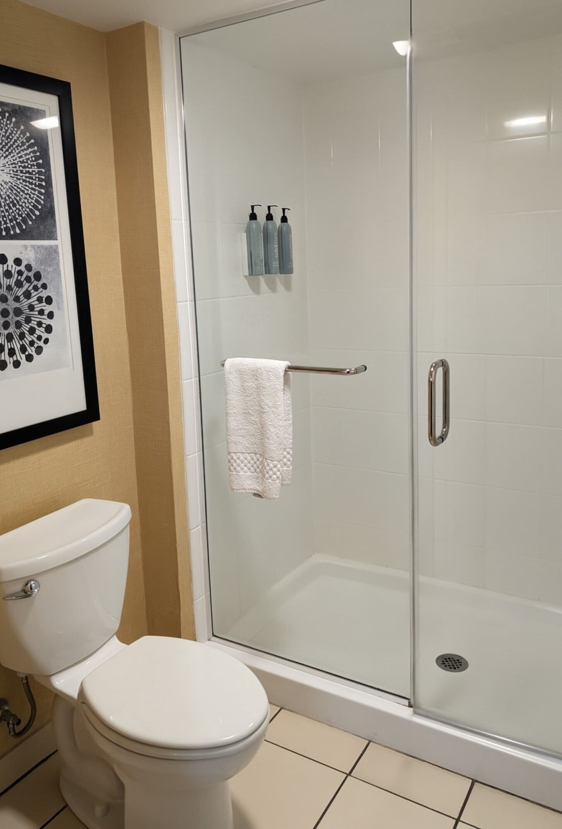 A bathroom with a toilet, a glass shower enclosure, and a framed picture on the wall.