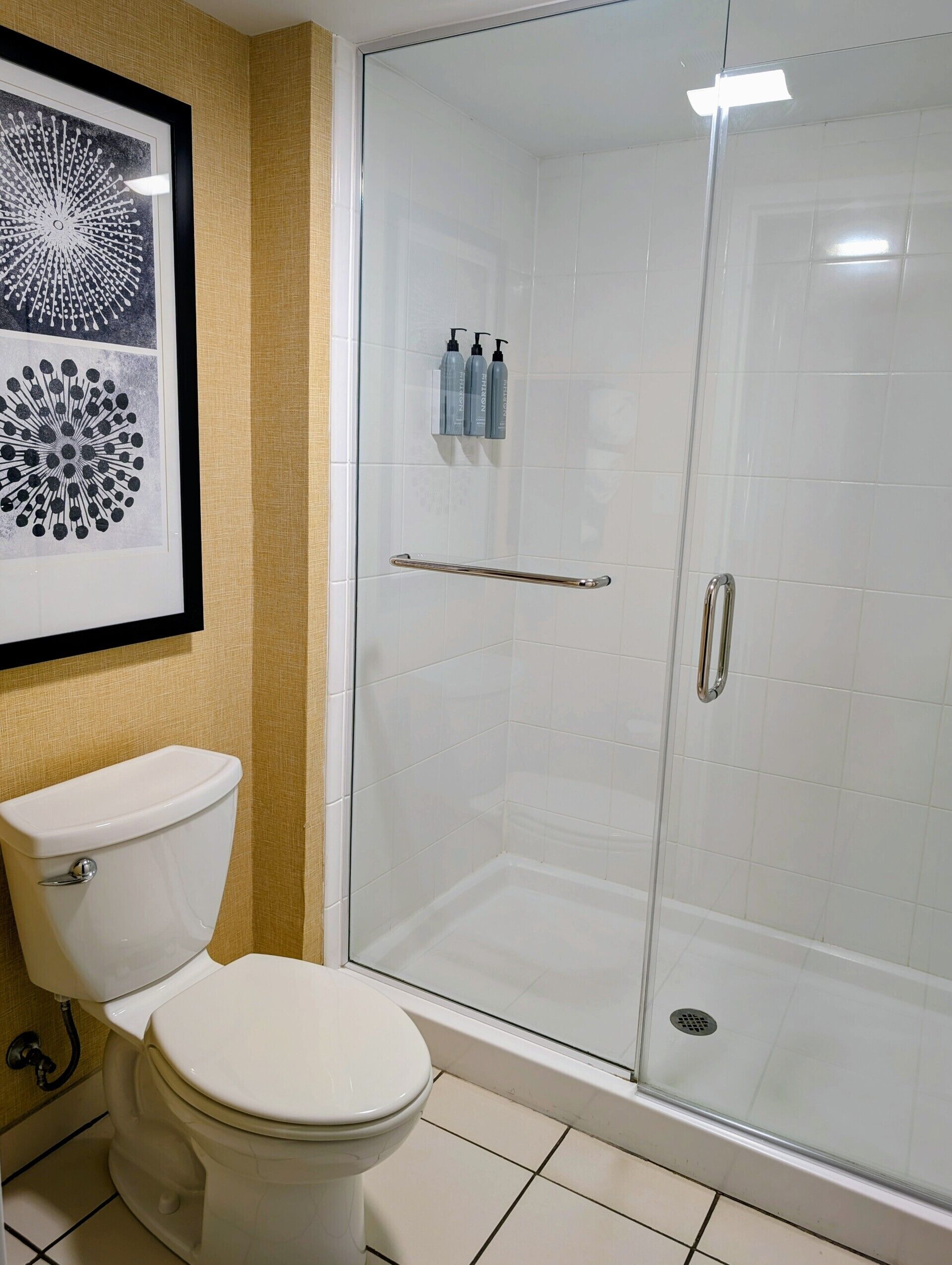 A bathroom with a toilet, a glass shower enclosure, and a framed artwork on the wall.
