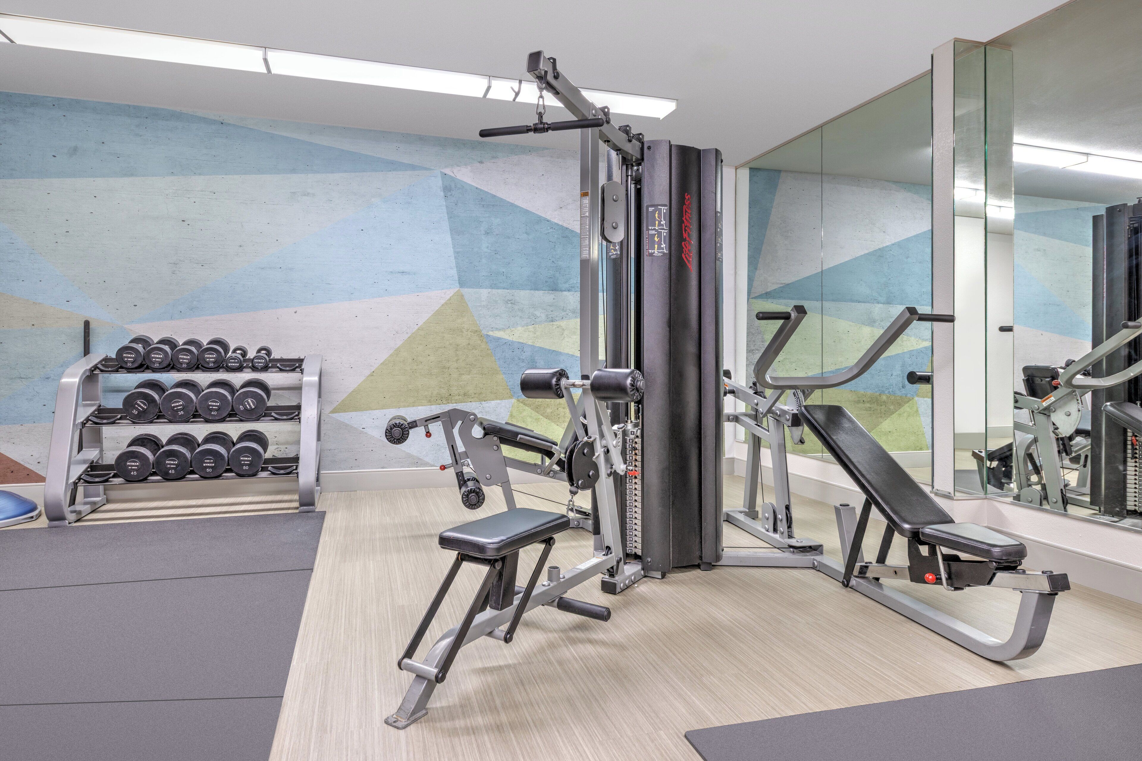 Un gimnasio con máquinas de pesas, mancuernas y una banca.