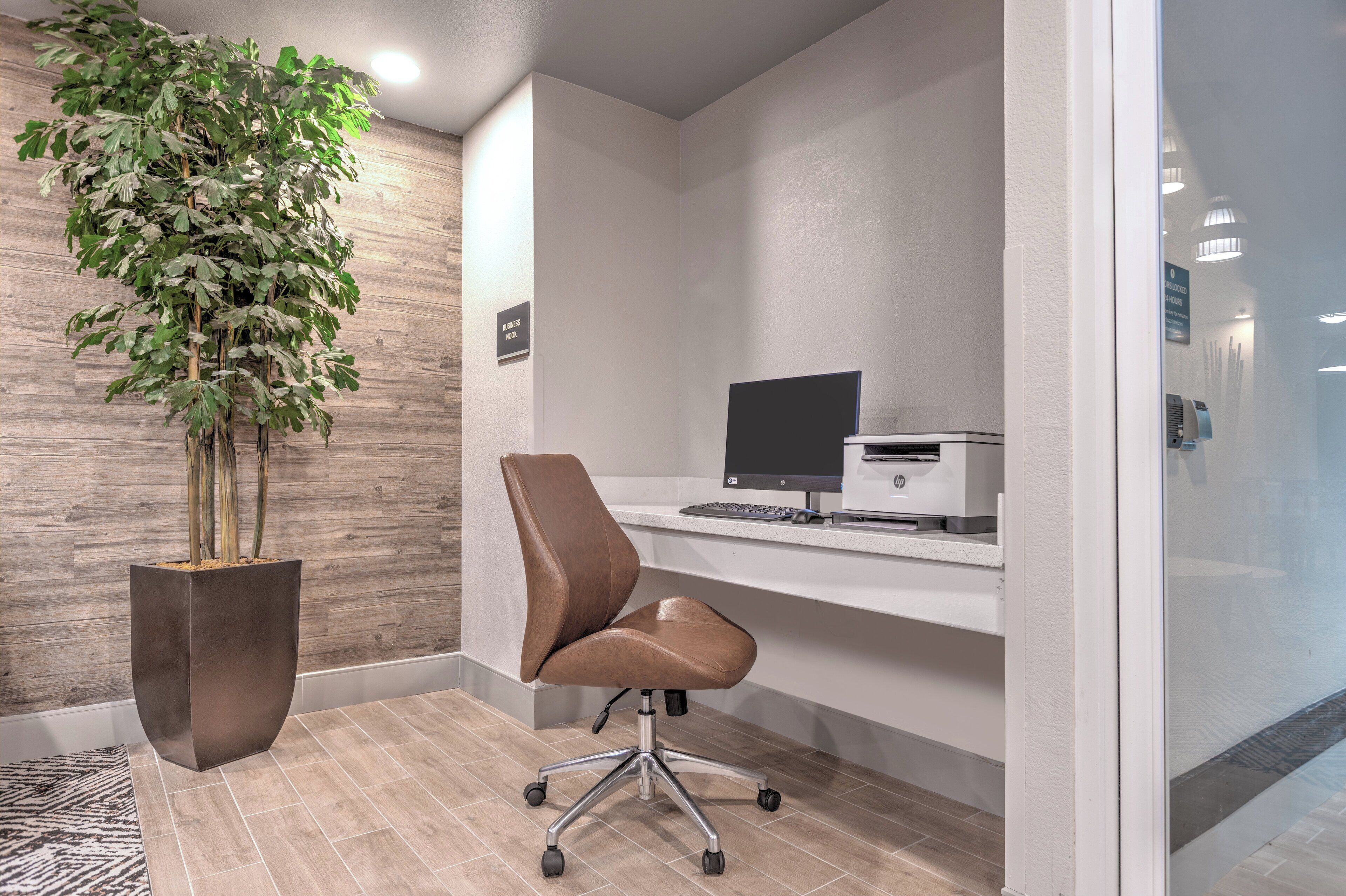 A modern office space with a large potted plant, a brown office chair, a desk with a computer, and a printer.