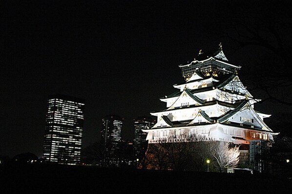 A traditional Japanese castle with multiple tiers and a dark sky in the background. - Miyako City Osaka Tennoji (Osaka)
