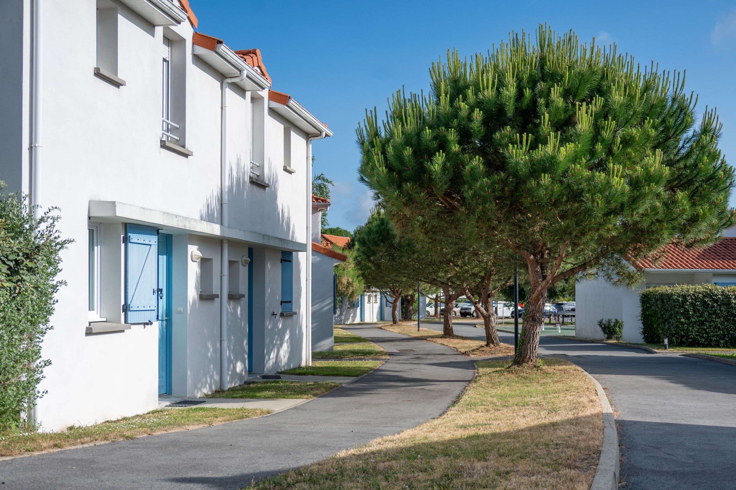 Eine Wohnstraße mit weißen Häusern, blauen Türen und einem Baum im Vordergrund.