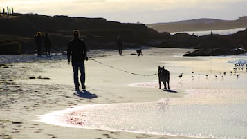 Vlak bij het strand