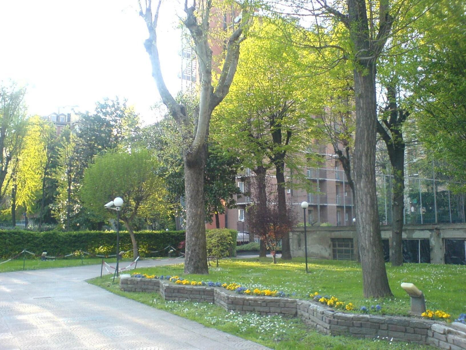 A pathway lined with trees and a brick flower bed with yellow flowers.