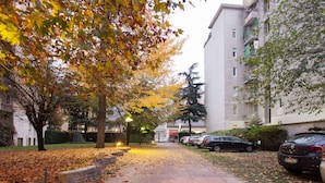 Un chemin pavé bordé d’arbres aux feuilles d’automne, de voitures garées et d’immeubles d’habitation.