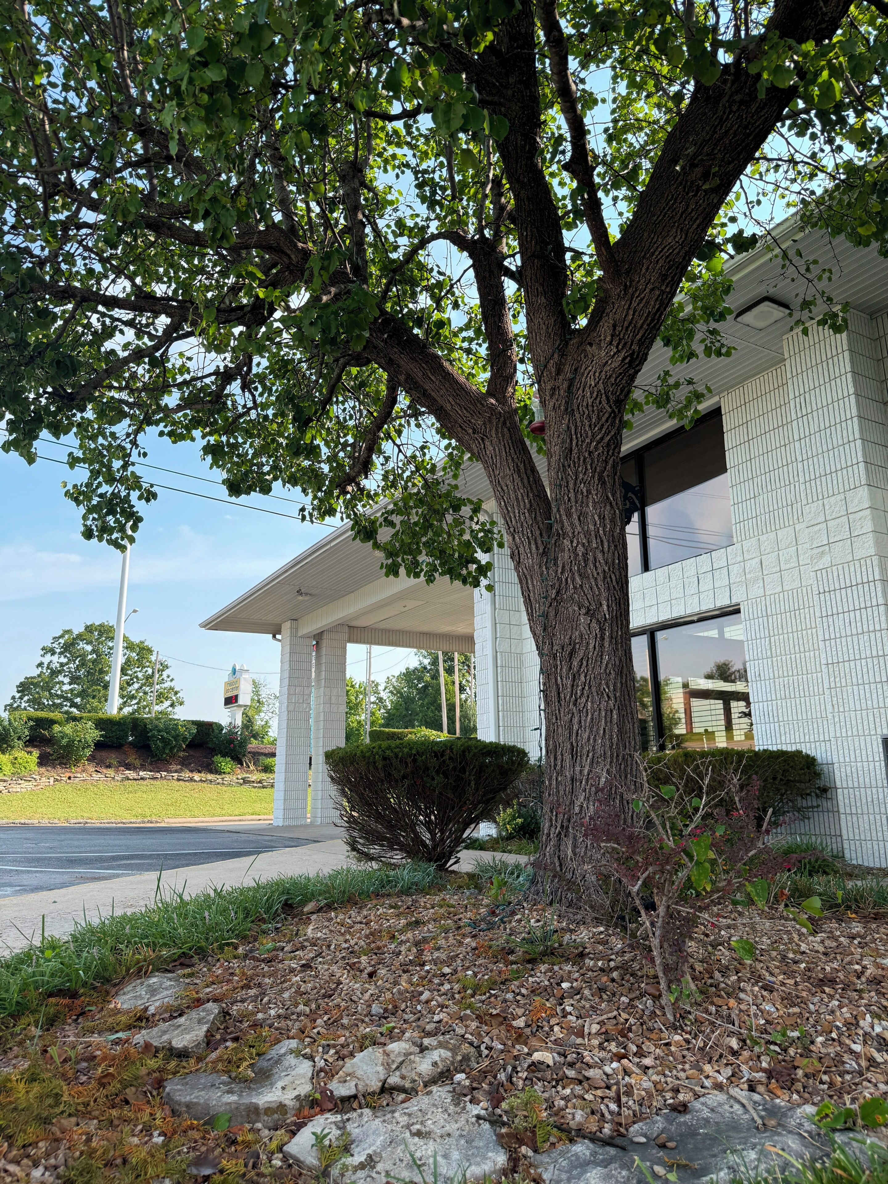 A building with a covered outdoor area, a large tree, and a paved driveway.