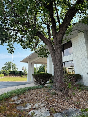 A building with a covered outdoor area, a large tree, and a paved driveway. - Ozark Valley Lodge (Branson)