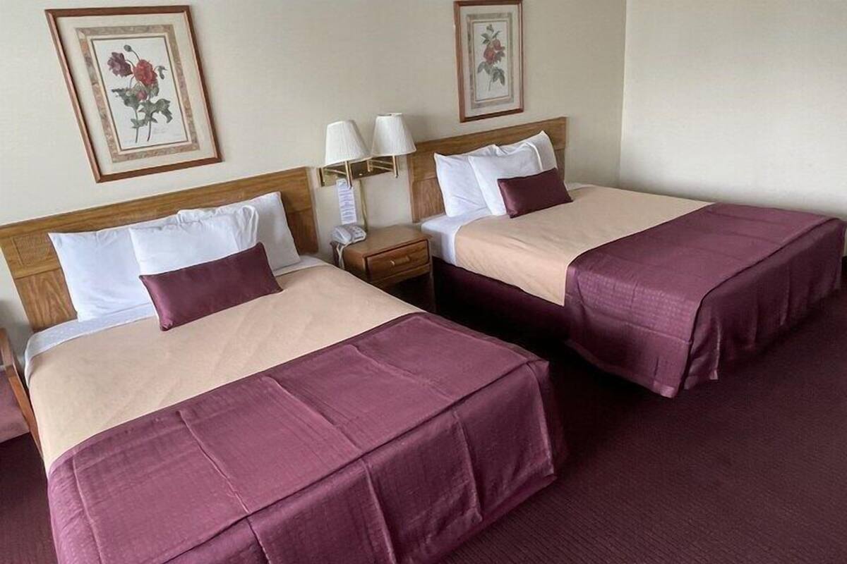 Una habitación de hotel con dos camas, cada una con cabecera, una mesita de noche con lámpara, y cuadros con motivos florales en la pared.