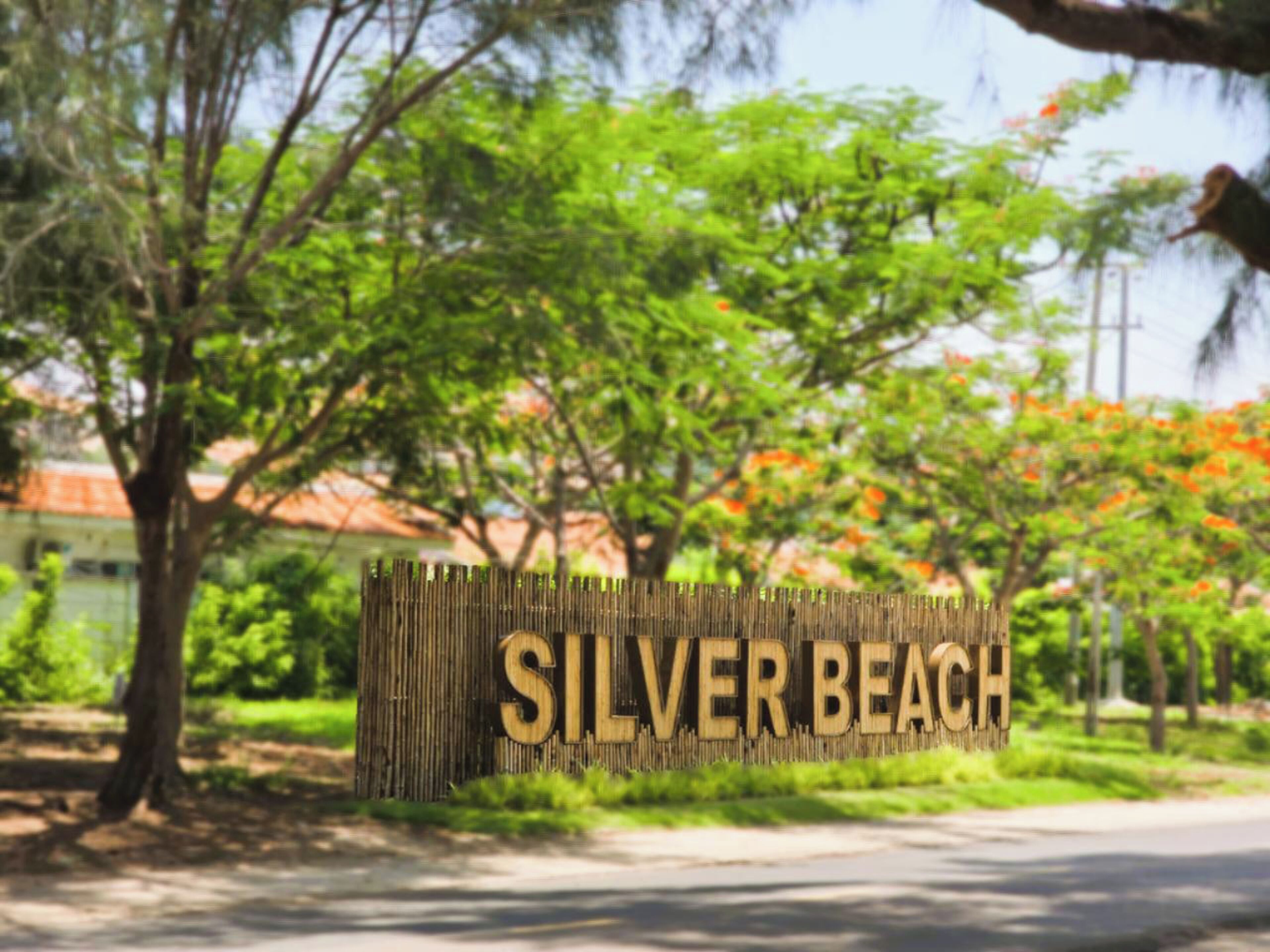 Un letrero de madera con el texto 'SILVER BEACH' en letras mayúsculas.