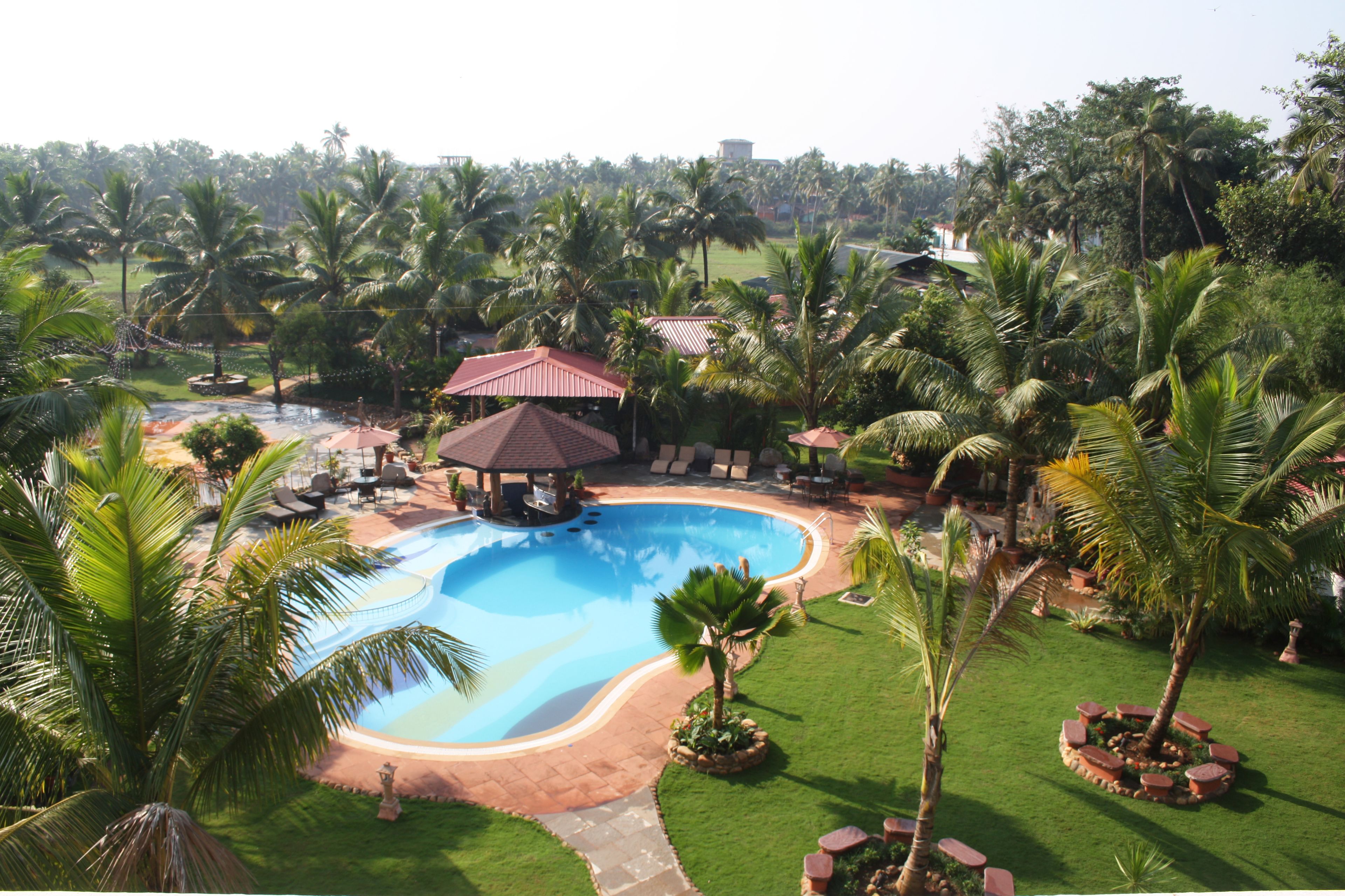 A resort with a swimming pool, lounge chairs, and palm trees.