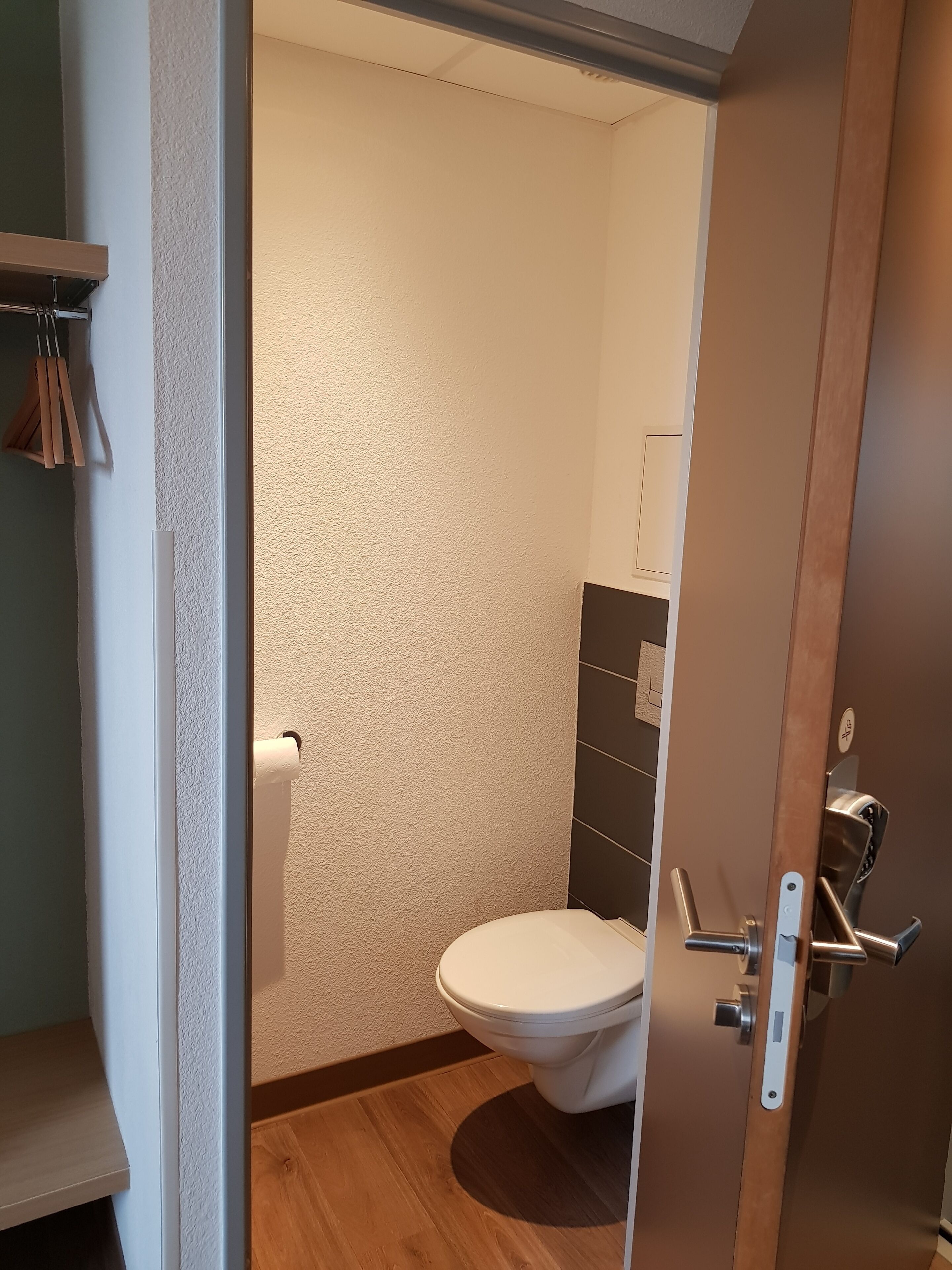 A modern bathroom with a white toilet, wooden flooring, and a towel rack.