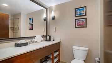 A hotel bathroom with a large mirror, a sink with a towel dispenser, a toilet, and framed pictures on the wall.