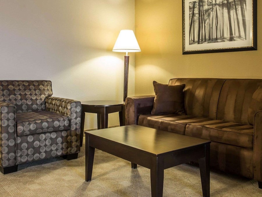 Una sala de estar con un sillón estampado, un sofá de cuero, una mesita de centro, una lámpara y un cuadro en la pared.