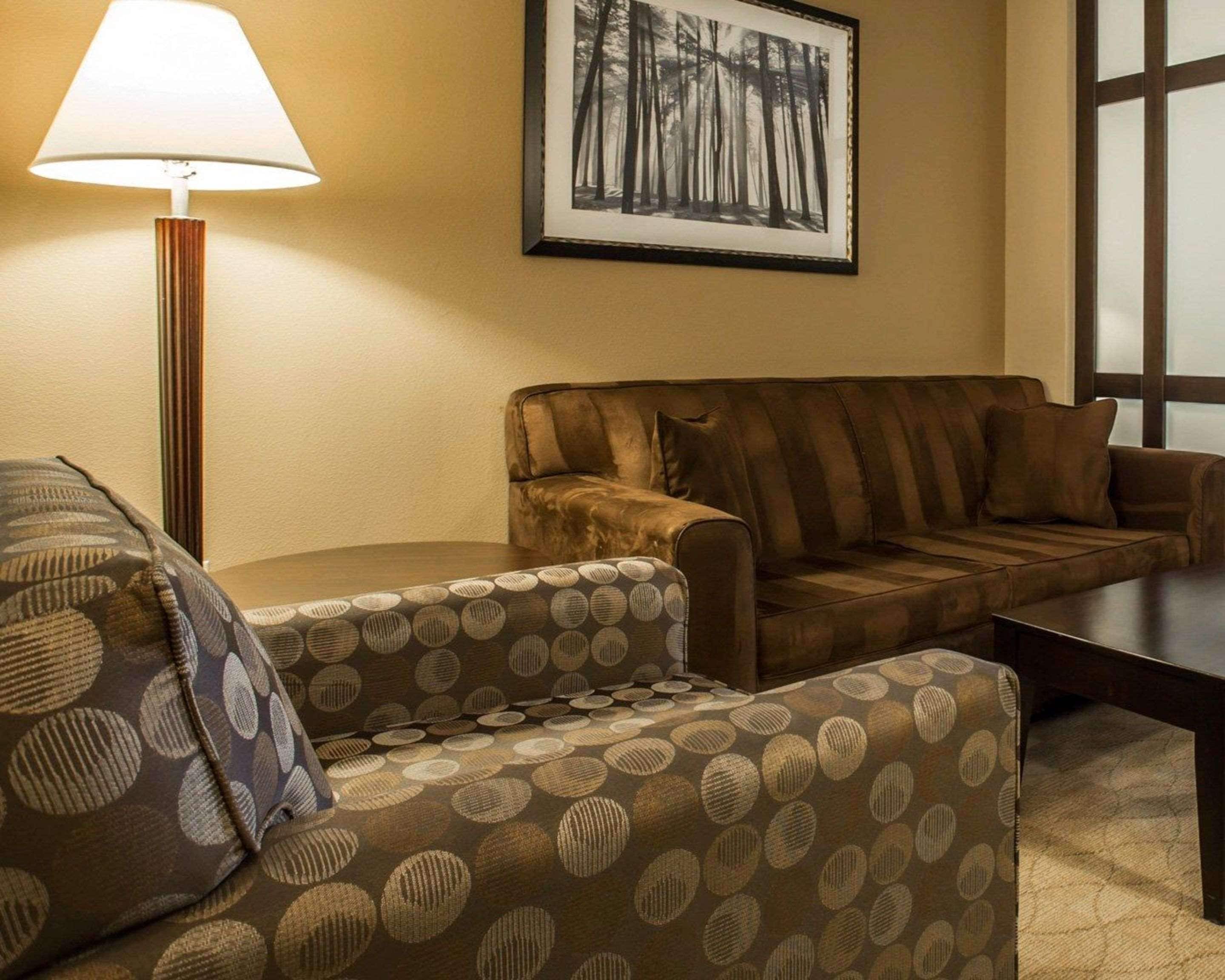 A room with a sofa, a patterned armchair, a lamp, and a framed picture on the wall.