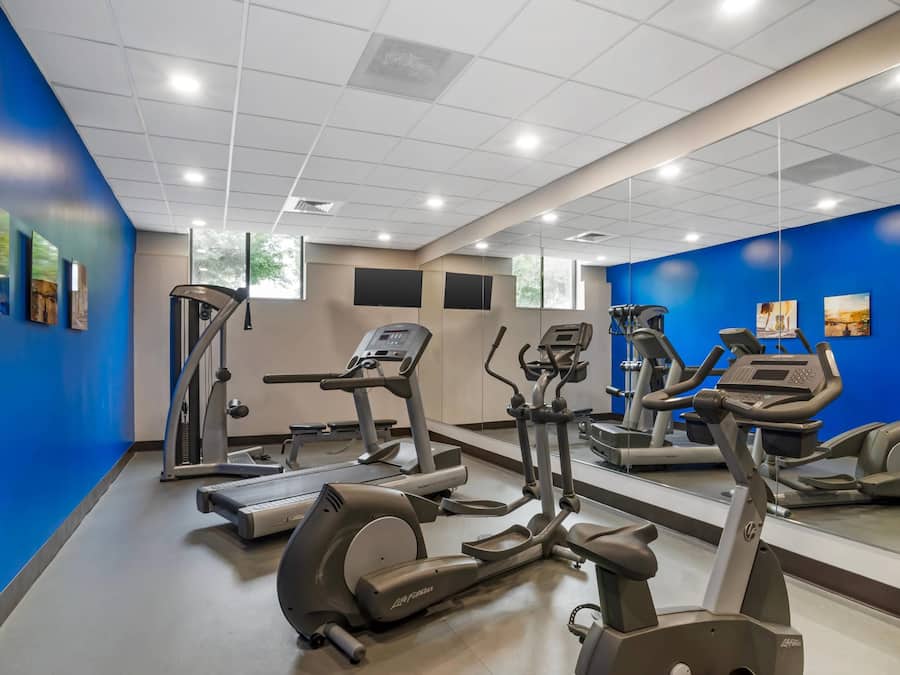 A gym with cardio machines, mirrors, and artwork on the walls.