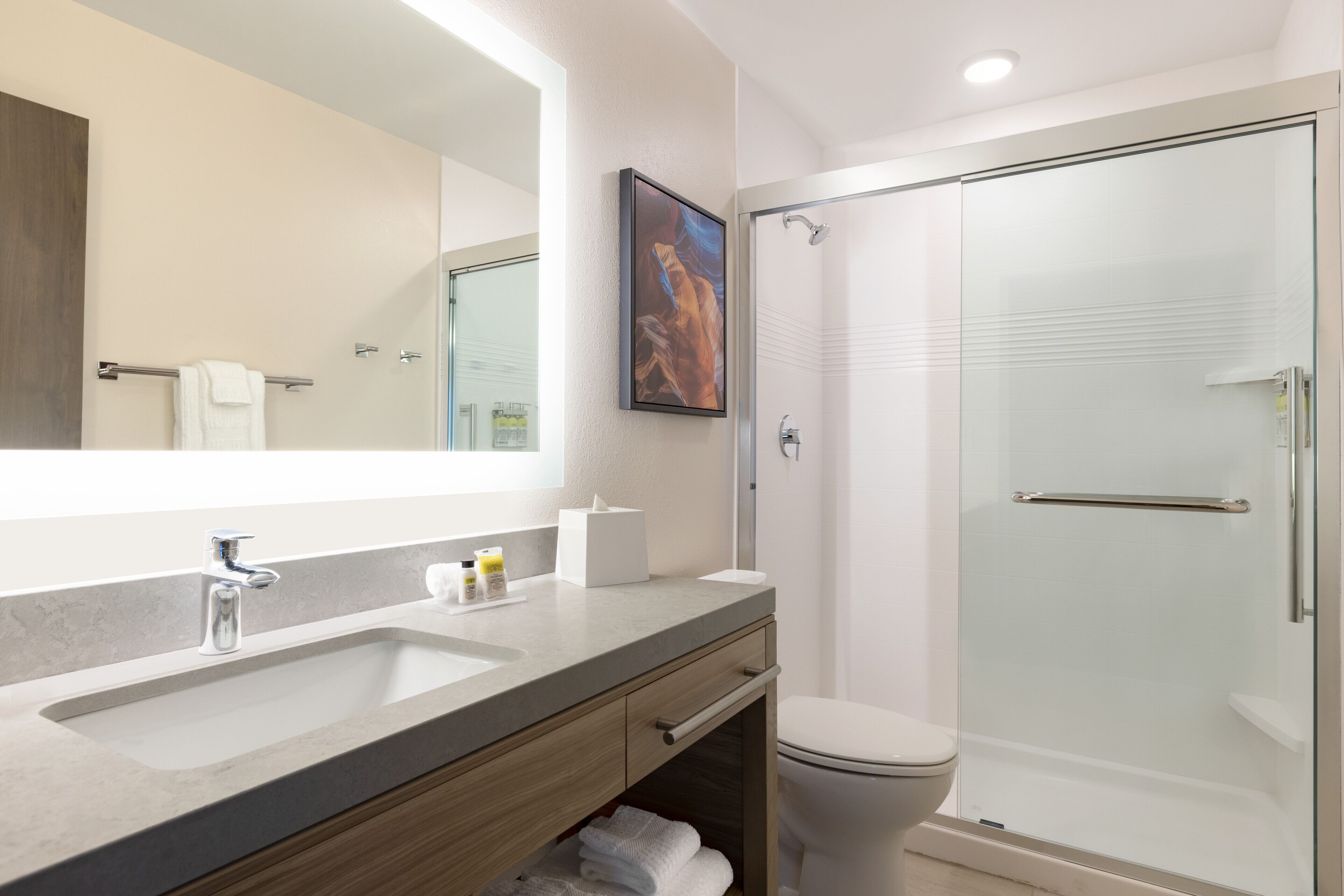 suite, 1 bedroom | bathroom | combined shower/bathtub, free toiletries, hair dryer, towels