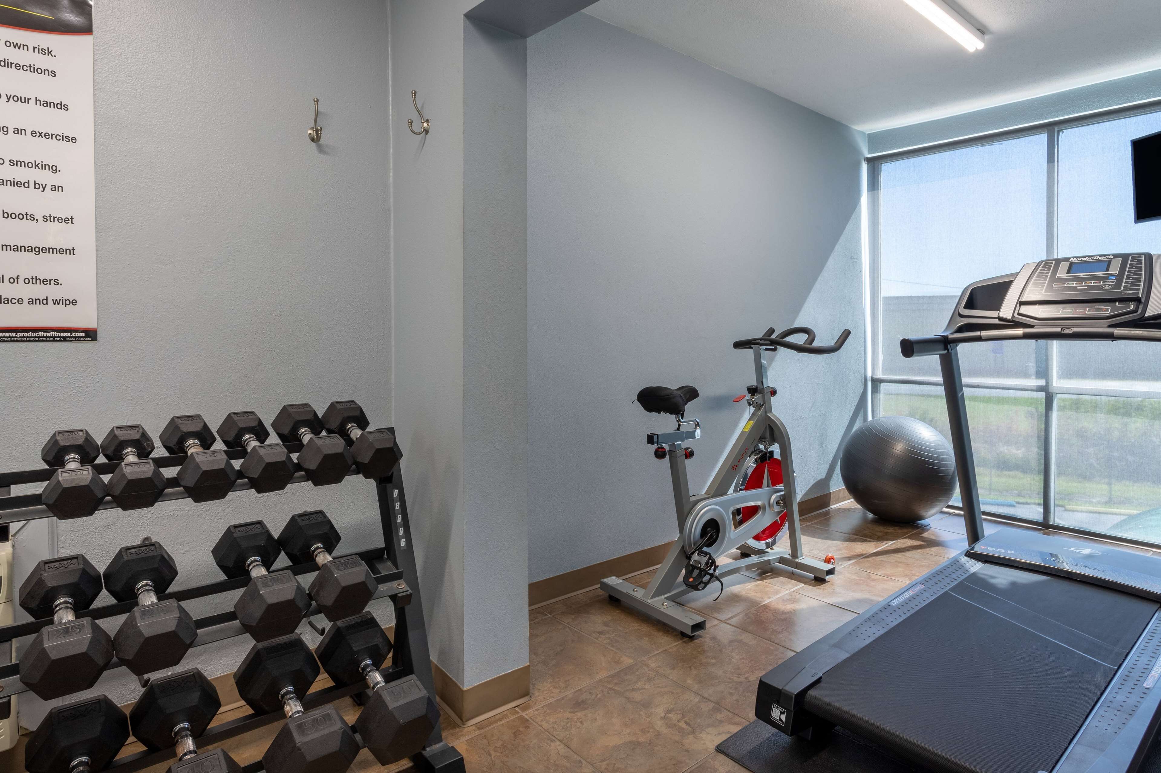 A gym with a treadmill, exercise bike, and a rack of dumbbells.