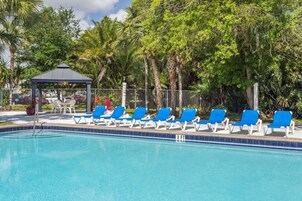 Una piscina con sillas reclinables azules, un pabellón y palmeras.