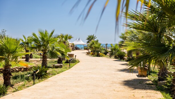 A paved pathway leading to a white tent structure, surrounded by palm trees and greenery. - Triscinamare Hotel Residence (Castelvetrano)
