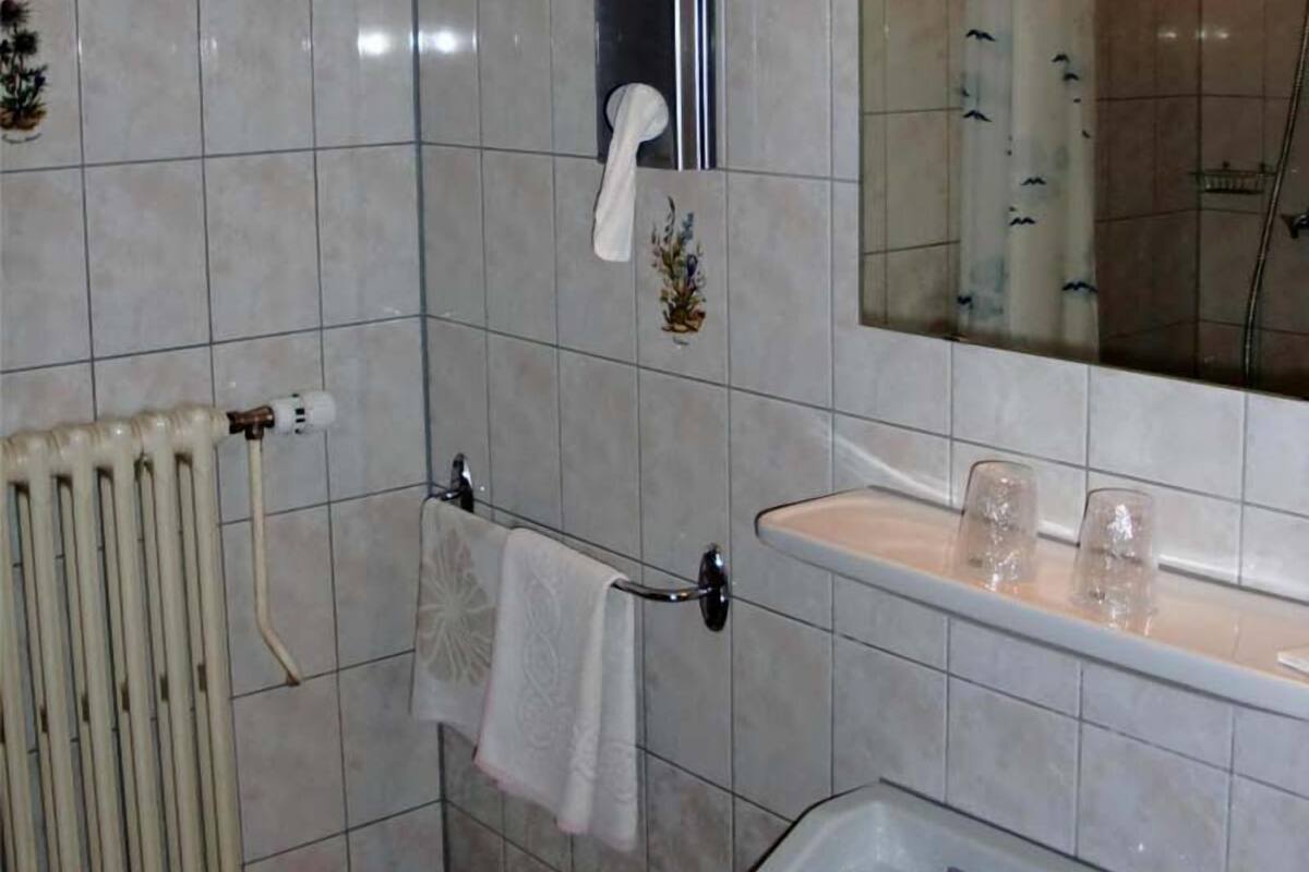 combined shower/bathtub, hair dryer