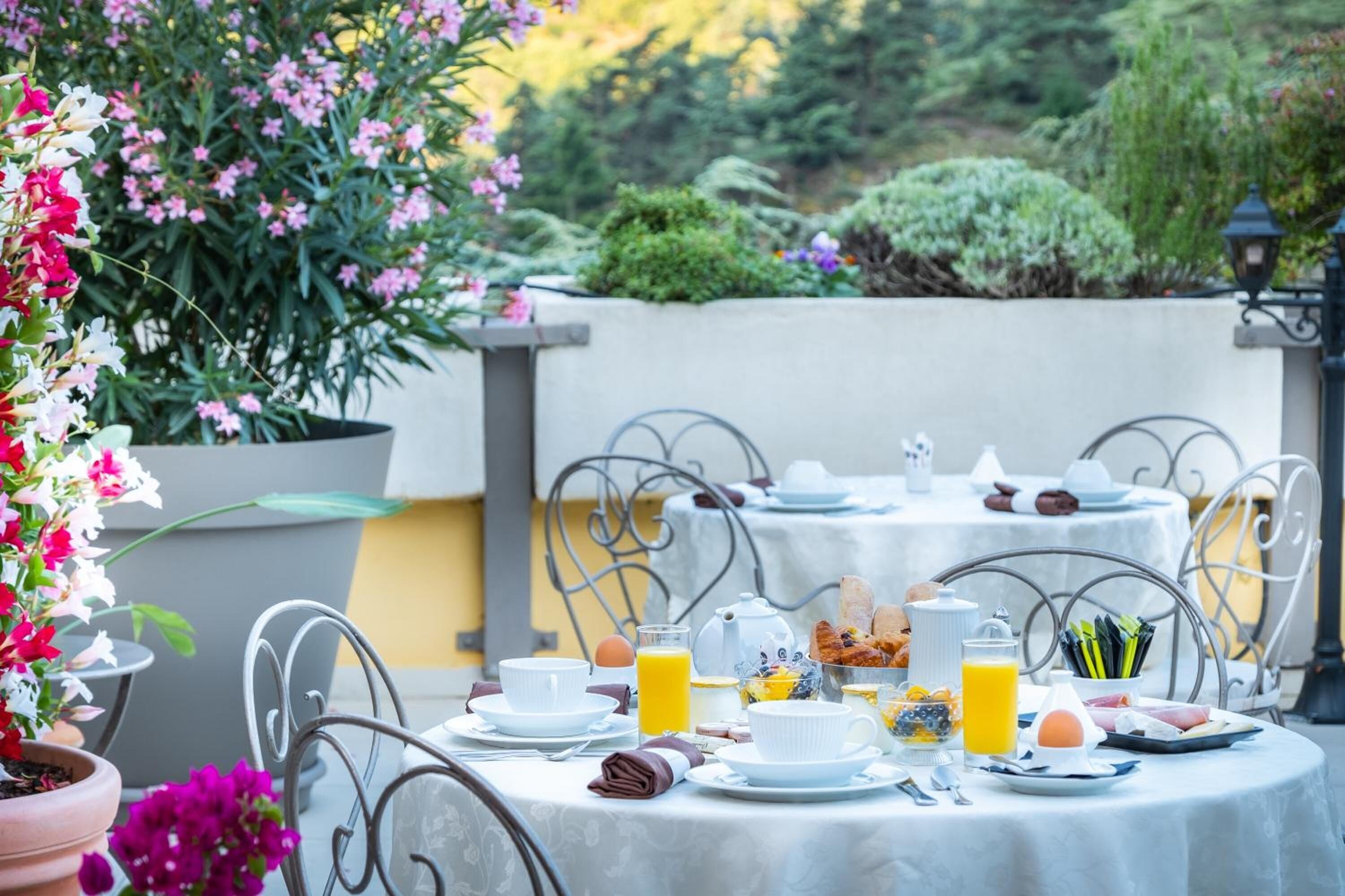 Un espace extérieur aménagé pour les repas, avec des tables dressées pour le petit-déjeuner, entouré de plantes en pot et offrant une vue sur le jardin.