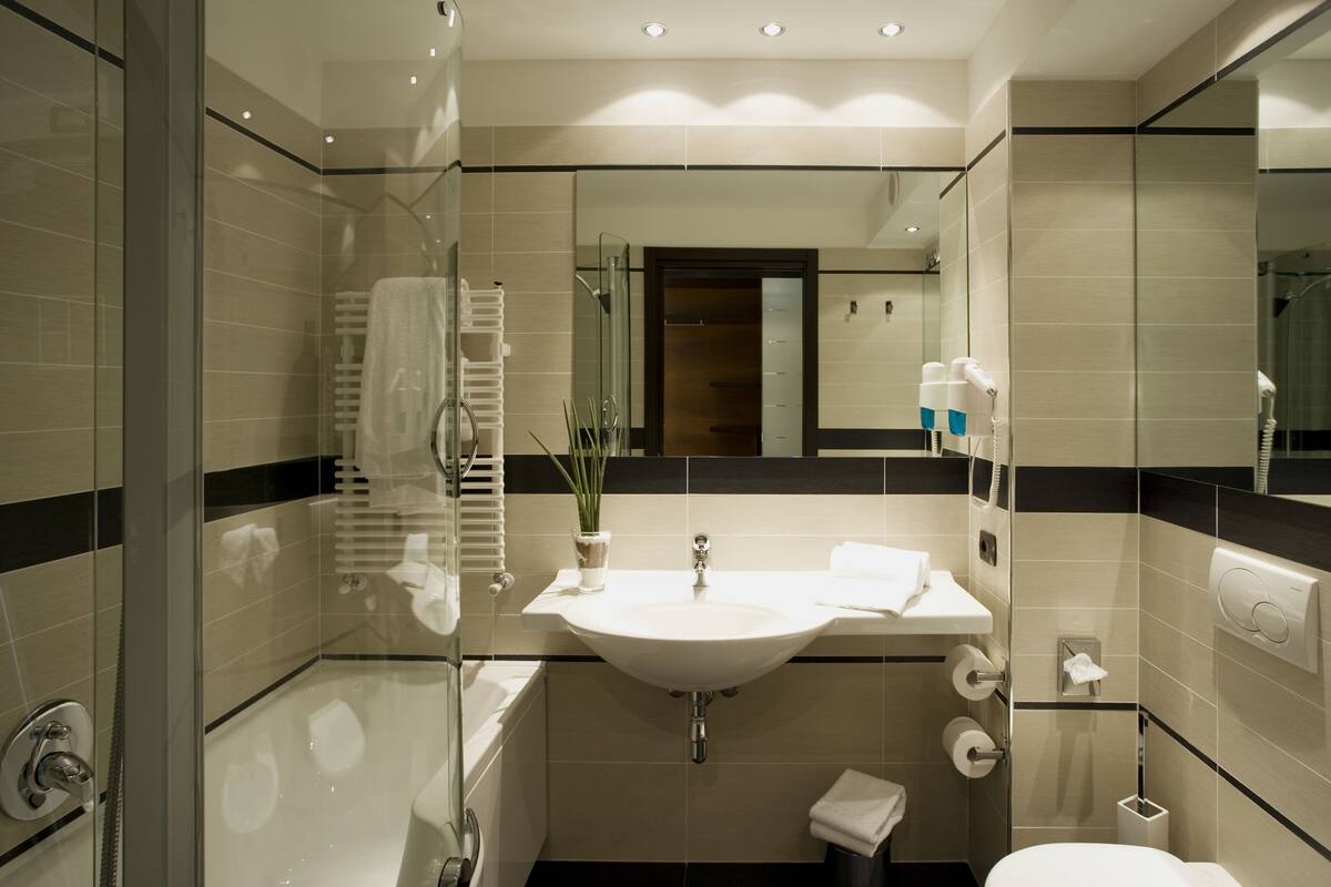 combined shower/bathtub, free toiletries, hair dryer, towels