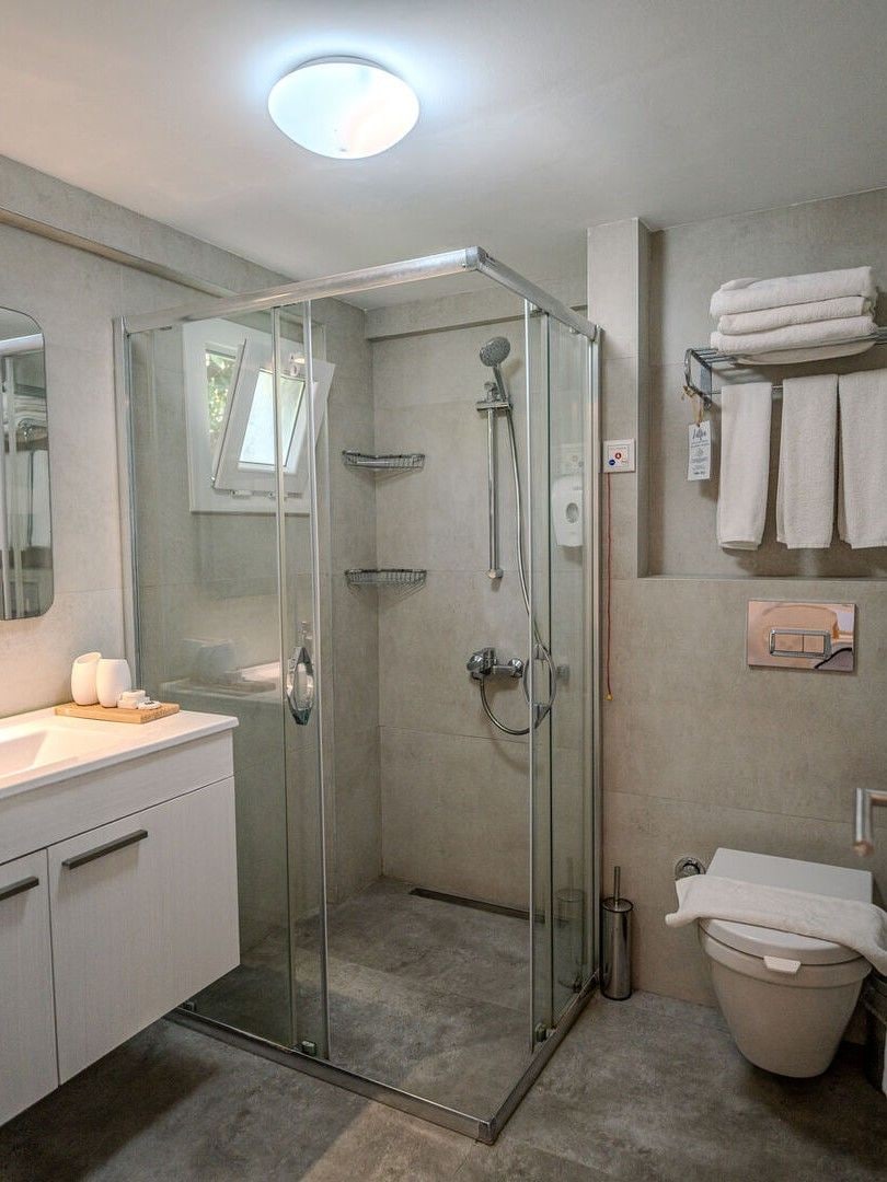 A modern bathroom with a glass-enclosed shower, a white sink, and a toilet.