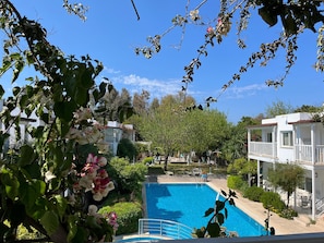 Outdoor pool, open 9:00 AM to 8:30 PM, pool umbrellas, sun loungers