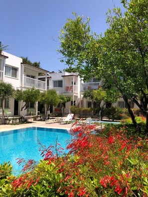 Zona de piscina con una piscina azul cristalina, rodeada de exuberante follaje y flores rojas.