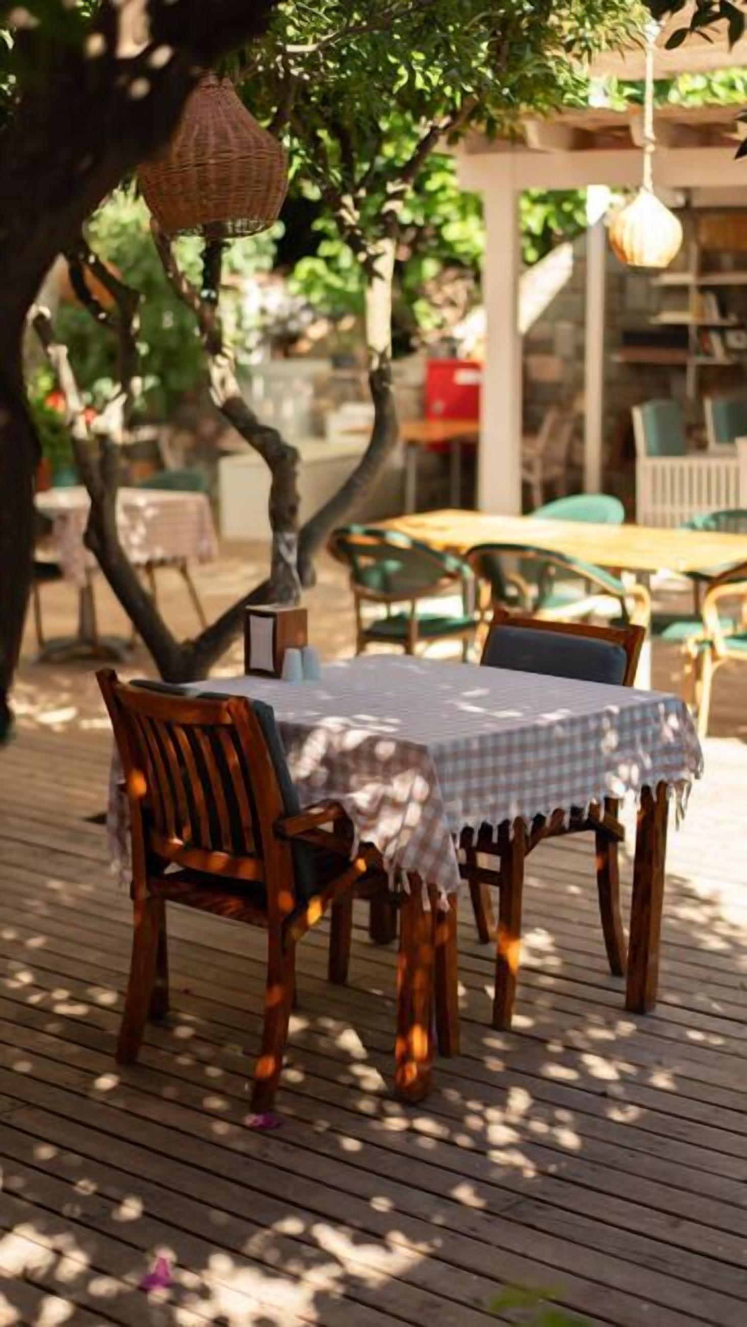 An outdoor dining area with wooden tables and chairs, covered by a checkered tablecloth, under a tree.