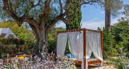 Quinta Bonita Luxury Boutique Hotel