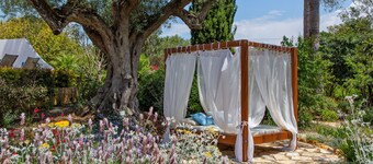 Quinta Bonita Luxury Boutique Hotel