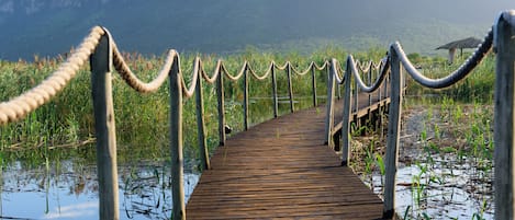 A wooden boardwalk leading through a marshy area with a mountain in the background.