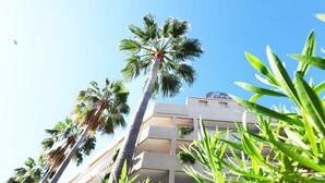A tall palm tree in front of a building with balconies and a clear blue sky. - Apartamentos Jade - Adults Only +16 (Palma de Mallorca)