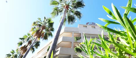 A tall palm tree in front of a building with balconies and a clear blue sky.