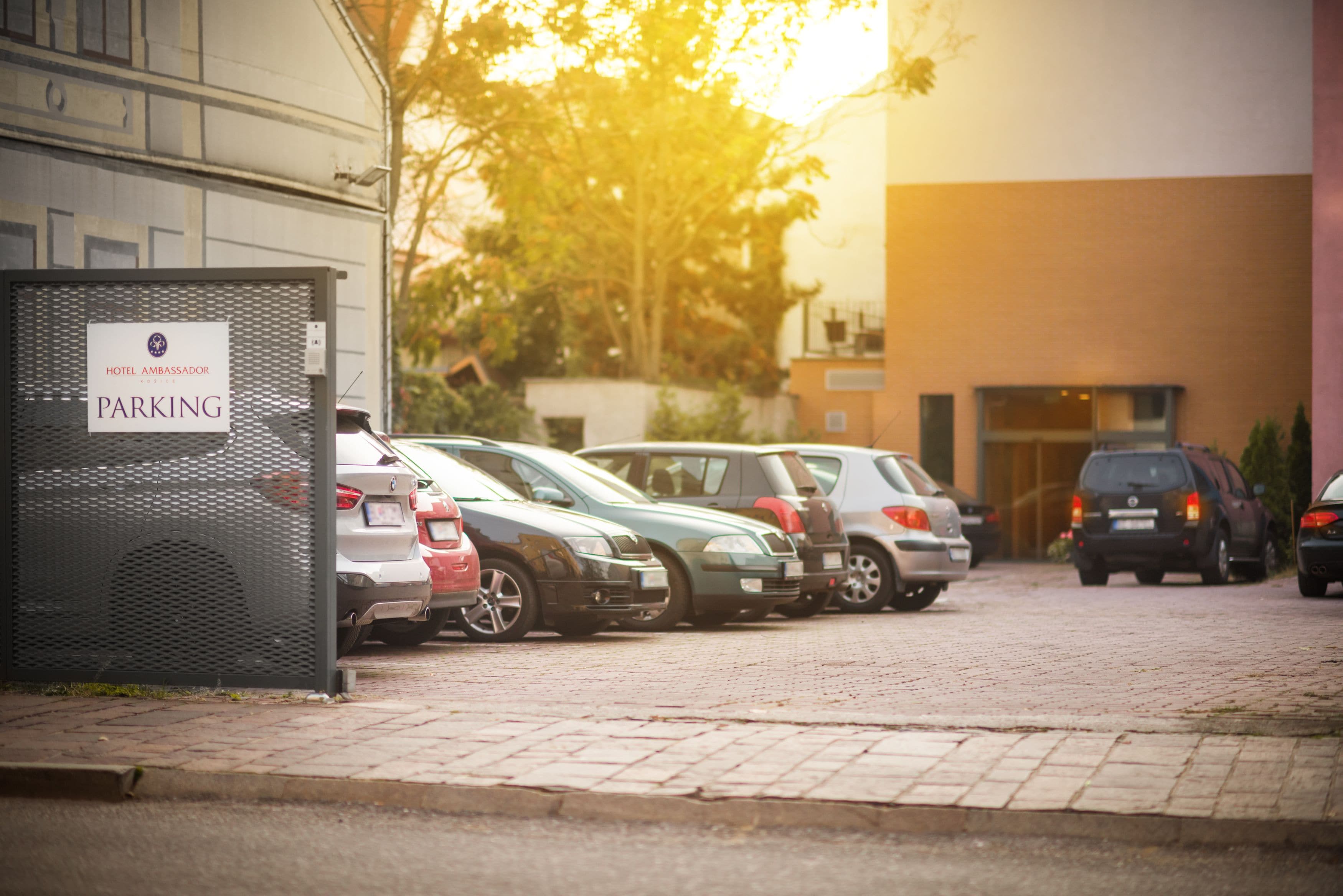 self-parking (surcharge) 10 per night