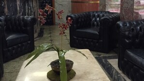 Un vestíbulo con sofás de cuero negro, una mesa de centro de mármol y una planta en maceta.