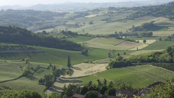 A rural landscape with rolling hills, vineyards, and scattered houses.