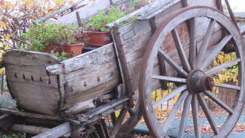 Un carro antiguo de madera con una rueda grande, un banco de madera y una jardinera con plantas.